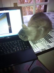 2012 K-laptop