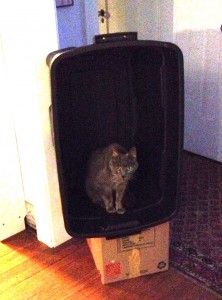 K-2013-box