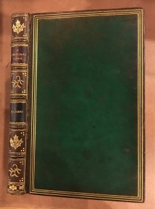 beautiful leather binding